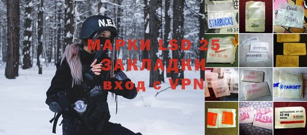 хмурый Белокуриха
