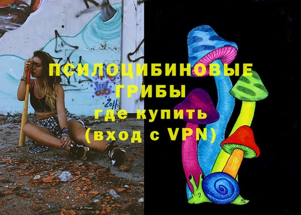 хмурый Белокуриха