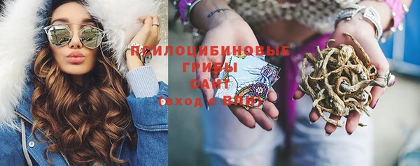 хмурый Белокуриха