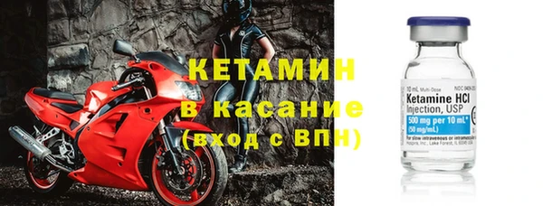 хмурый Белокуриха