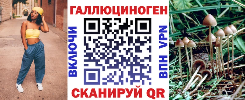 Галлюциногенные грибы Psilocybine cubensis  купить наркотик  мега сайт  Новая Усмань 